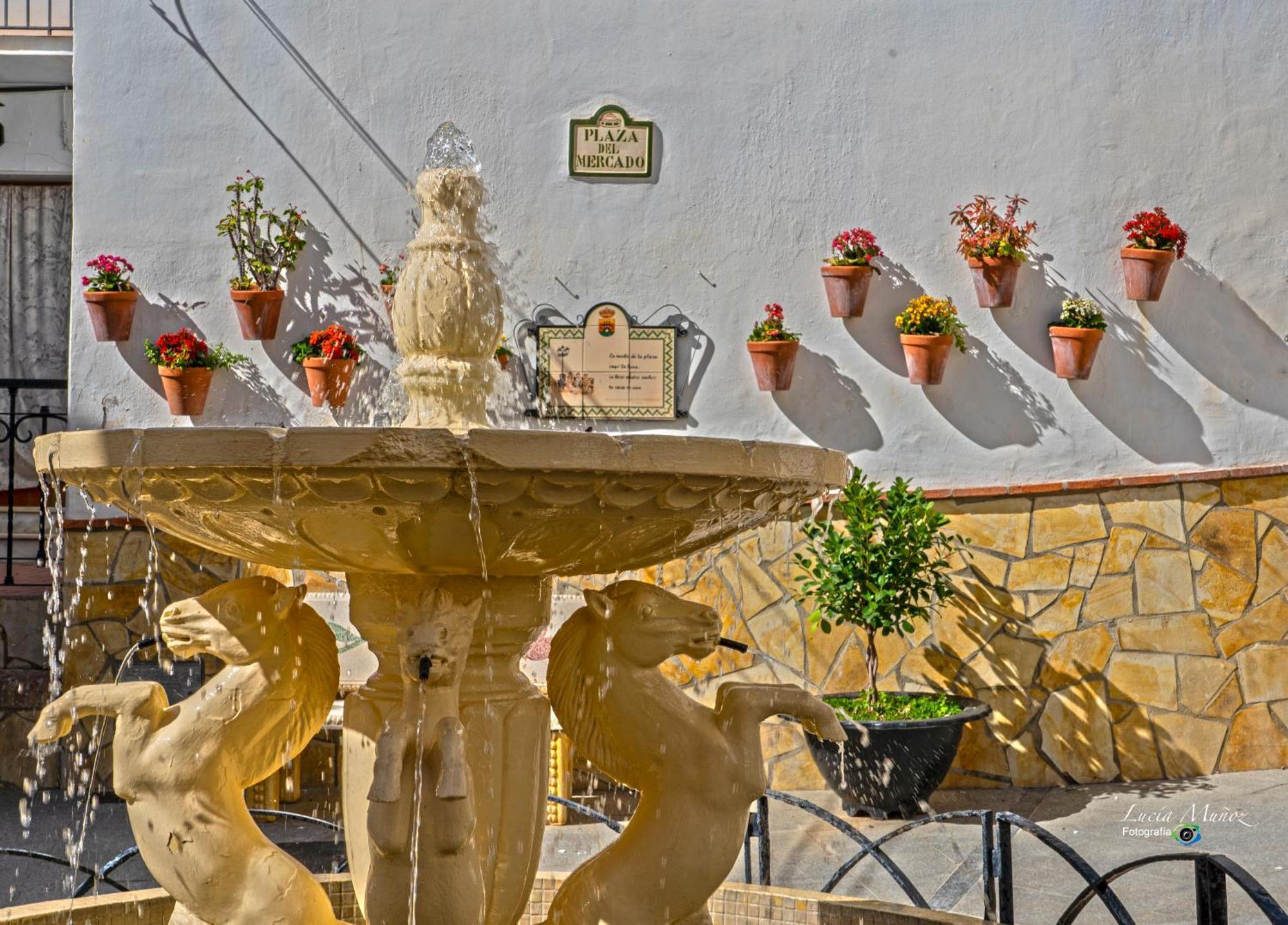 Balcones De Bentomiz Aparthotel Velez Malaga Ngoại thất bức ảnh